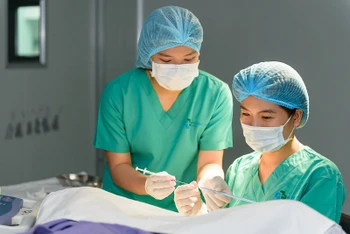 Bác sĩ Dung chuyển phôi cho bệnh nhân.