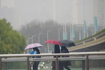 Ảnh minh họa. (Nguồn: Reuters)