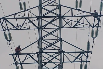 Đơn vị thi công đang thực hiện công việc trên lưới điện.
