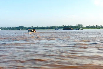 Ảnh minh họa.