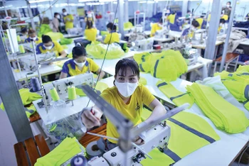 Nhiều doanh nghiệp dệt may đã quay lại thị trường nội địa.