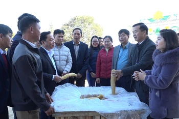 Sản phẩm củ cải muối được xuất khẩu sang Nhật Bản.