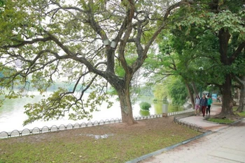 Ảnh minh họa.