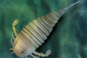 Hình ảnh tái tạo một con bọ cạp biển eurypterid. (Nguồn: SCI News)