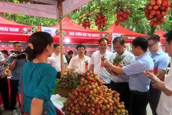 Nông nghiệp Hưng Yên hướng tới sản xuất hàng hóa theo chuỗi giá trị, hiệu quả và an toàn