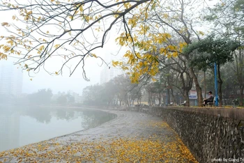 Ảnh minh họa.