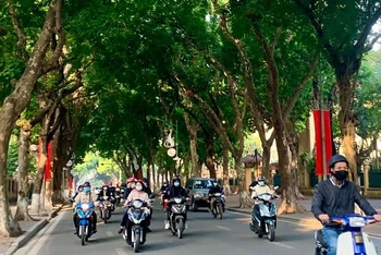 Ảnh minh họa.