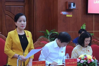 Phó Chủ nhiệm Ủy ban Xã hội của Quốc hội (đứng) phát biểu tại buổi giám sát thực hiện chuyên đề tại Cà Mau.