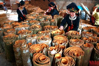 Lễ hội Quế Văn Yên năm 2022