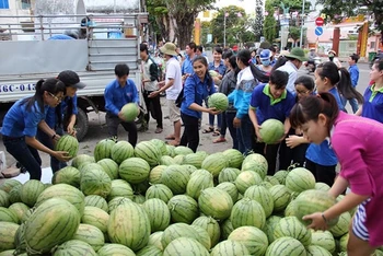 Ảnh minh họa: Sinh viên Trường ĐH Phạm Văn Đồng giúp nông dân huyện Bình Sơn (Quảng Ngãi) bán dưa hấu, năm 2017. (Ảnh: Minh Trí)