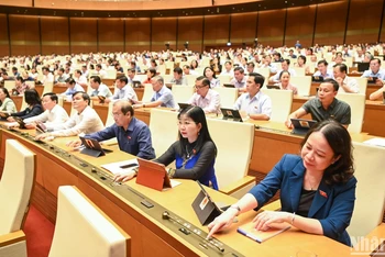 Đại biểu Quốc hội biểu quyết thông qua Luật Đường bộ. (Ảnh: DUY LINH)