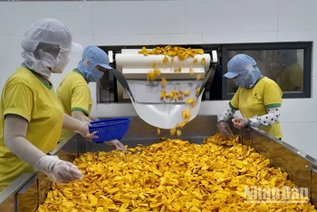 Kim ngạch xuất khẩu hàng hóa của Long An trong 6 tháng đầu năm 2024 tăng 16,5%.