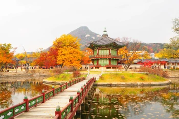 Vi vu đến “xứ sở Kim Chi” với các đường bay mới của Vietjet