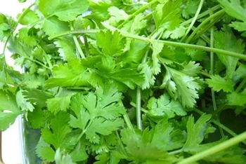 EU gỡ bỏ kiểm soát một số mặt hàng rau gia vị của Việt Nam