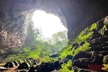 Cửa hang Pygmy, hang động lớn thứ tư thế giới, nằm trong vùng lõi VQG Phong Nha-Kẻ Bàng. (Ảnh: Mỹ Hạnh)