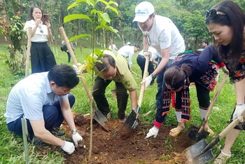 Trồng rừng phòng hộ tại Vườn quốc gia Cúc Phương (Ninh Bình).