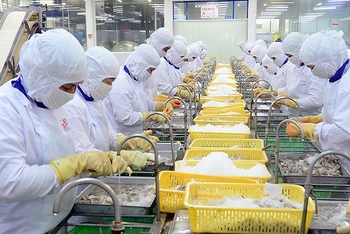Chế biến thủy sản xuất khẩu ở Công ty cổ phần Thủy sản Cafatex Hậu Giang. (Ảnh Trần Quốc)