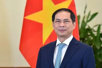 Bộ trưởng Ngoại giao Bùi Thanh Sơn.