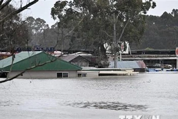 Cảnh ngập lụt sau những trận mưa lớn khu vực ngoại ô Sydney, Australia. (Ảnh: AFP/TTXVN)