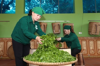 Từ “cây nhà, lá vườn” đến sản phẩm OCOP 5 sao Quốc gia