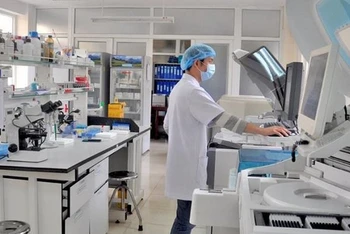Ảnh minh họa. Nguồn: VGP