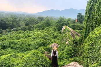 Pháo đài xanh