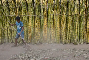 Ảnh minh họa. Nguồn: Reuters