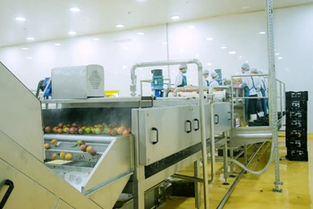 Câu chuyện Đồng Giao: Bệ đỡ cho nhà nông