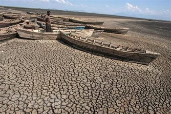 Cảnh khô hạn tại hồ Chilwa ở khu vực Zomba, miền đông Malawi, ngày 19/10/2018. (Ảnh: AFP/ TTXVN)