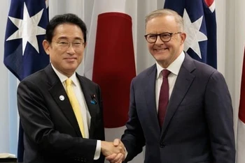 Thủ tướng Australia Anthony Albanese (phải) có cuộc hội đàm với người đồng cấp Nhật Bản Fumio Kishida. (Nguồn: AFP/TTXVN)