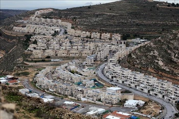 Nhấn mạnh giải pháp hai nhà nước trong vấn đề Palestine-Israel