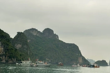 31 phương tiện được huy động trong cuộc tìm kiếm, cứu nạn.