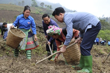 Đồng chí Đỗ Đức Duy tham gia lao động trong “Ngày cuối tuần cùng dân”.