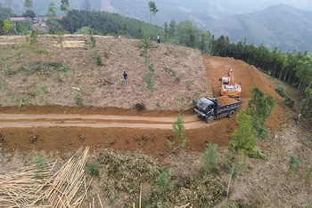 Triển khai thi công đồng loạt 8 vị trí cột, dự án đường dây 500kV Lào Cai-Vĩnh Yên (đoạn qua huyện Bảo Yên).