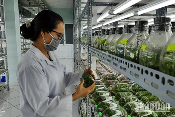 Nguồn nhân lực trình độ đại học trong lĩnh vực nông nghiệp đang trong tình trạng thiếu hụt.