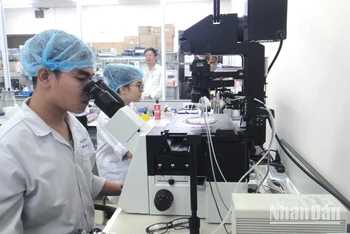 Hoạt động nghiên cứu khoa học tại Trường đại học Quốc tế, Đại học Quốc gia Thành phố Hồ Chí Minh.
