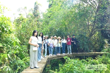 Du khách trẻ tham quan, trải nghiệm dưới tán rừng tràm xanh mướt tại Xẻo Quít, khu “căn cứ lòng dân”. (Ảnh: HỮU NGHĨA)