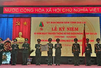 Thừa ủy quyền của Chủ tịch nước, đồng chí Thiếu tướng Nguyễn Đức Mạnh, Phó Tư lệnh Bộ đội Biên phòng đã trao Huân chương Bảo vệ Tổ quốc hạng Nhì tặng Bộ đội Biên phòng tỉnh Gia Lai.