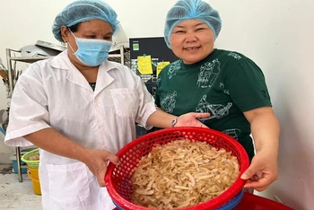Bà Ino Mayu (áo xanh) hướng dẫn nông dân xã Vang Qưới Đông, huyện Bình Đại, sản xuất dừa sấy giòn.