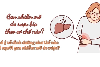 Gan nhiễm mỡ do rượu bia theo cơ chế nào?