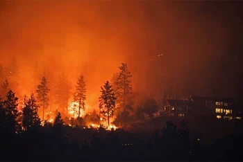 Cháy rừng tại tỉnh bang British Columbia (BC), miền tây Canada, ngày 19/8/2023. (Ảnh: Reuters)