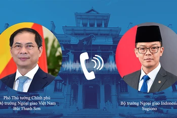 Phó Thủ tướng, Bộ trưởng Ngoại giao Bùi Thanh Sơn điện đàm với Bộ trưởng Ngoại giao Indonesia. (Ảnh: Bộ Ngoại giao Việt Nam)