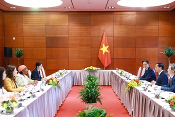Phó Thủ tướng, Bộ trưởng Ngoại giao Bùi Thanh Sơn đã tiếp Phó Tổng Giám đốc Tổ chức Phát triển công nghiệp Liên hợp quốc (UNIDO) Fatou Haidara. (Ảnh: TTXVN)