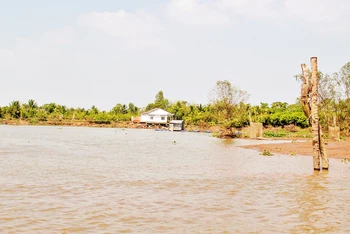 Khu vực sạt lở đất nghiêm trọng tại xã Hòa Ninh, huyện Long Hồ, tỉnh Vĩnh Long.