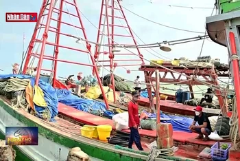 Trách nhiệm người đứng đầu trong phòng chống khai thác IUU