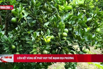 Liên kết vùng để phát huy thế mạnh địa phương