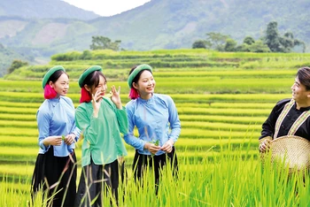 Các chàng trai, cô gái Sán Chỉ chụp ảnh bên những thửa ruộng bậc thang rực rỡ sắc mầu.