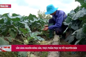 Sẵn sàng nguồn nông sản, thực phẩm phục vụ Tết Nguyên đán