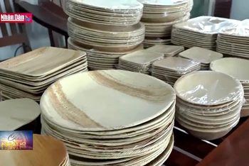 Độc đáo sản phẩm hữu cơ từ mo cau