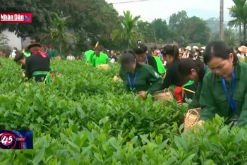 Lễ hội “Hương sắc Trà xuân - Vùng chè đặc sản Tân Cương”